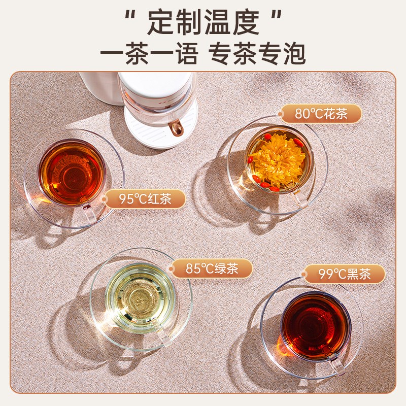 美国卓朗即d热式烧水壶智能电热水壶茶饮机饮水机煮茶器家用泡茶 - 图1
