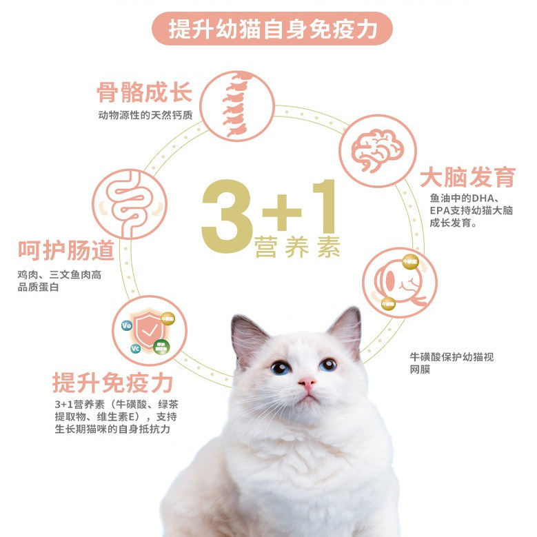 麦富迪猫粮三文鱼油全价天然粮成猫幼猫磷虾三文鱼实惠装,淘宝优惠券,粉丝福利购,淘宝优惠卷