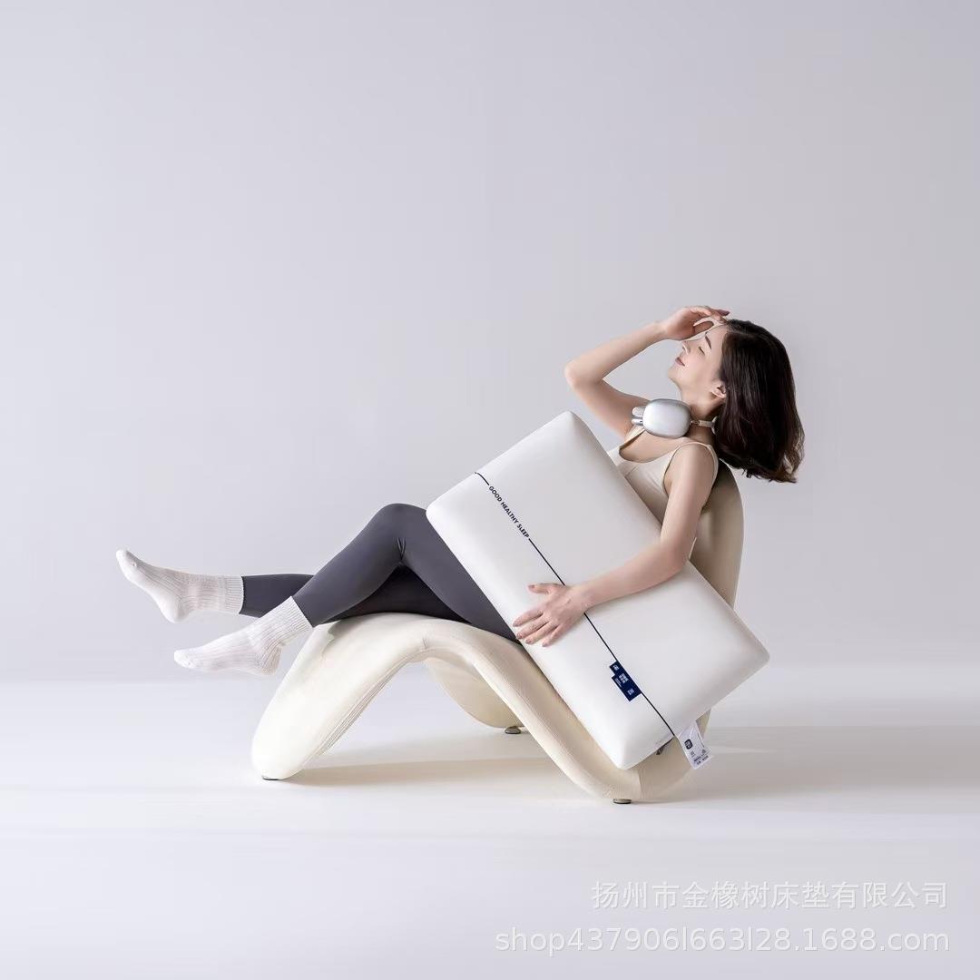 酒店款记忆棉枕芯成人慢回弹枕头家用零压护颈椎助睡眠枕芯 - 图0