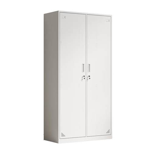 钢制二门更衣柜学校宿舍挂衣柜带锁储物柜办公室卫生间矮柜储物柜 - 图3