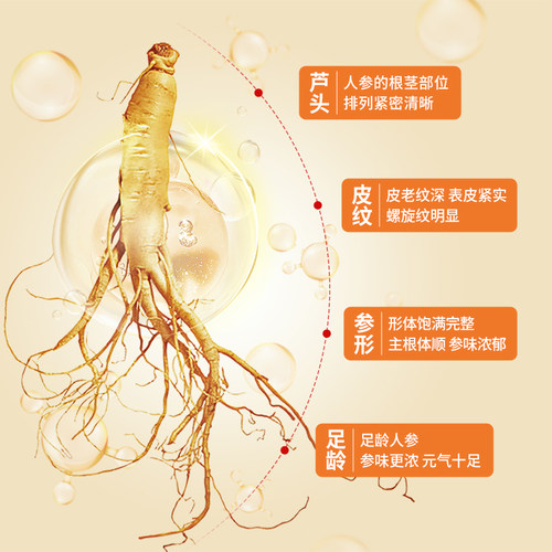 长白山人参 人参粉180克盒装白参粉礼品煲汤泡水健康补品送礼盒 - 图2