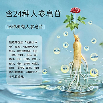 长白山人参梅兰竹菊礼盒[237元优惠券]-寻折猪