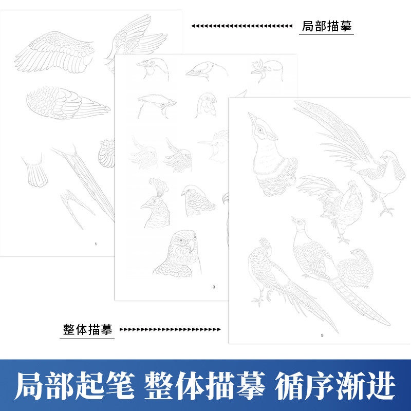 中国画白描描摹本 零基础 学国画 花卉 山水 动物 人物 四大主题