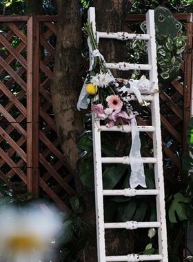 森得源铁艺花园装饰摆件梯爬藤架空间架家居陈列爬饰品架梯子创意