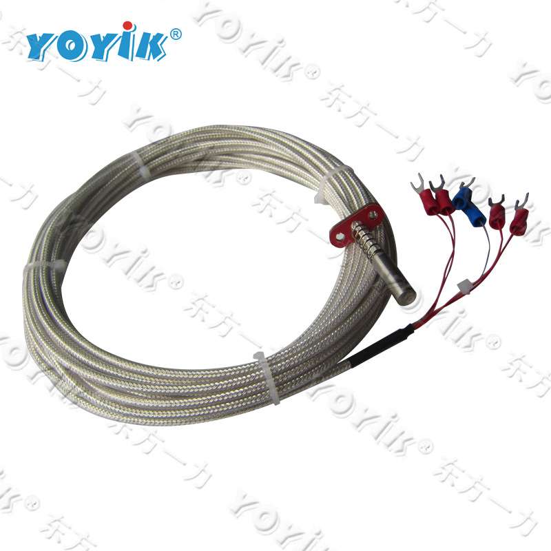 双支端面铂热电阻WZPM2-002 PT100 带全套附件-东方一力 - 图2