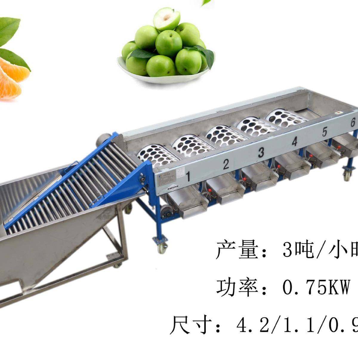 水果清洗分级机柑桔浸泡分选机柠檬水池分级机厂家直销,淘宝优惠券,粉丝福利购,淘宝优惠卷