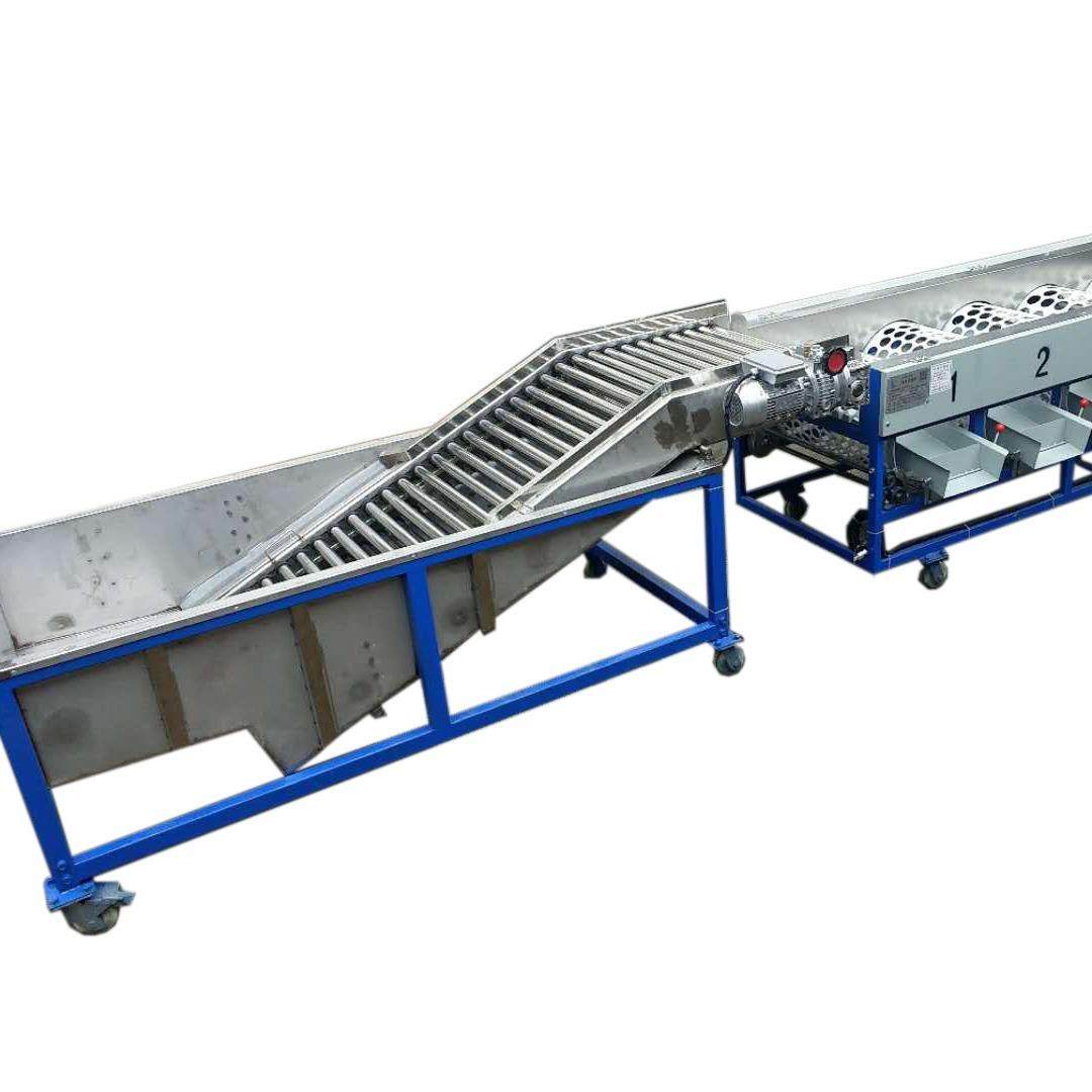 水果清洗分级机柑桔浸泡分选机柠檬水池分级机厂家直销,淘宝优惠券,粉丝福利购,淘宝优惠卷