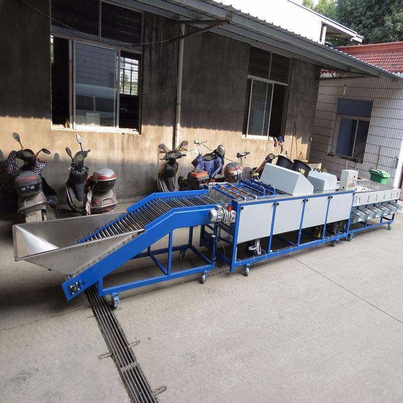 水果清洗设备果蔬浸泡池水洗分选机柑橘脐橙分级机,淘宝优惠券,粉丝福利购,淘宝优惠卷