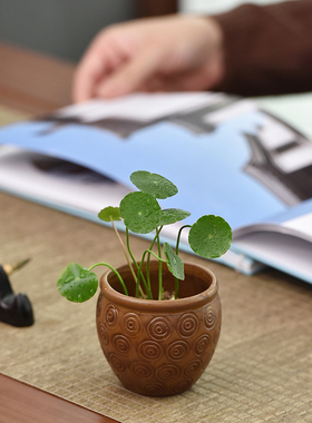 创意水缸水桶复古陶瓷迷你小花器家居水培铜钱草T茶桌摆件装饰花