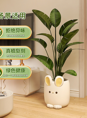 兔子客厅落地摆件奶油风大花瓶电视柜F家居沙发边可爱大型花盆绿
