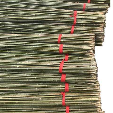 竹竿子菜园搭架豆角黄瓜番茄爬藤架篱笆围栏旗杆小竹竿瓜果细竹子,淘宝优惠券,粉丝福利购,淘宝优惠卷