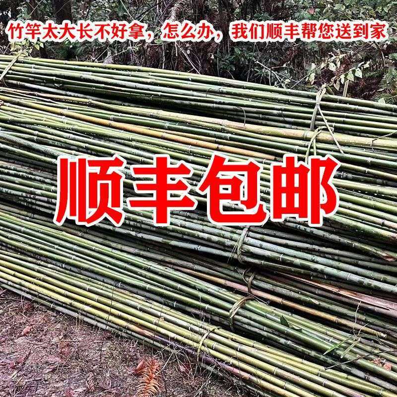 竹竿子菜园搭架豆角黄瓜番茄爬藤架篱笆围栏旗杆小竹竿瓜果细竹子,淘宝优惠券,粉丝福利购,淘宝优惠卷
