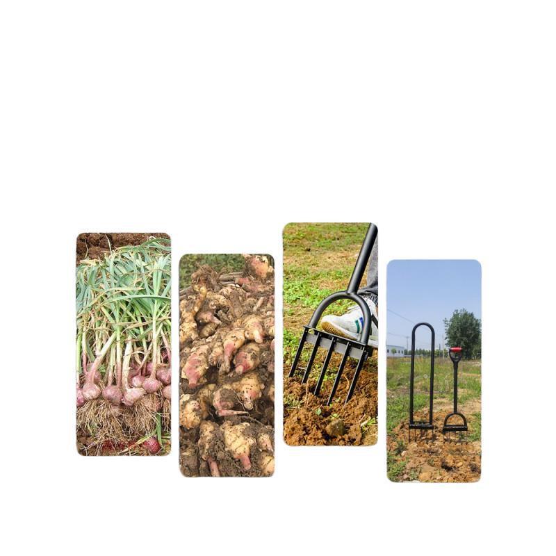 翻地松土人工开荒翻土钢叉子深翻器锄头挖地农具农用工具大全 - 图3