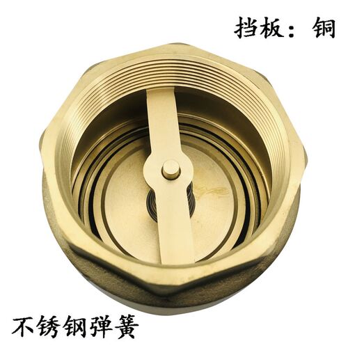 簧铜立式止回阀 弹簧单向阀止逆阀水泵阀2.5寸3寸DN65 80 - 图0