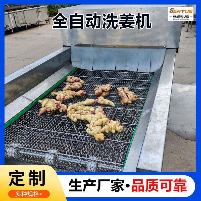 商用全自动小香葱清洗机芹菜高压喷淋洗菜机韭菜大姜清洗机去泥沙 - 图2