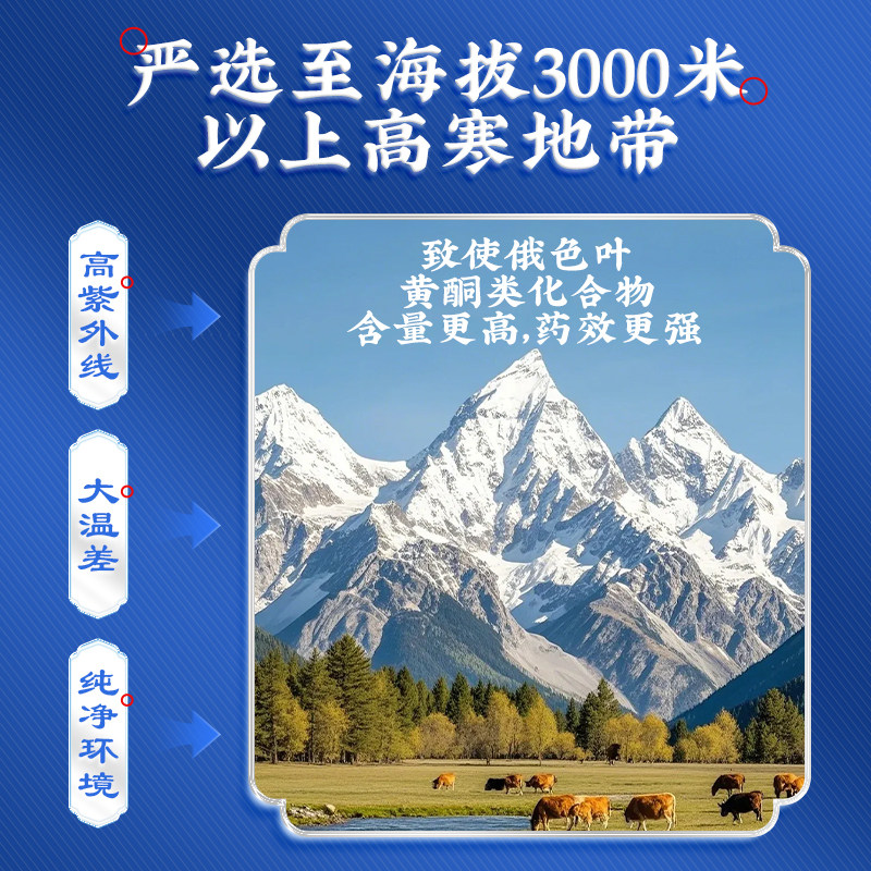 俄色叶中药饮片川藏药自己喝送礼速泡降茶药房同款2g*24袋 俄色叶中药饮片川藏药自己喝送礼速泡降茶药房同款2g*24袋