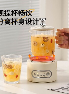 煮茶壶花茶养生壶家用多功能办公室小型miGni全玻璃烧水杯2024新