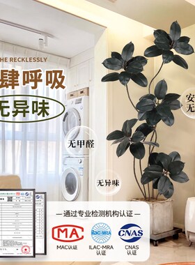 仿真绿植橡皮树盆栽客厅落地摆件高端装饰K室内沙发旁黑金刚假植