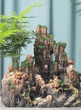 箐楷山花盆脂树摆件造景绿植室内QK689860场式景装饰客厅盆景假中