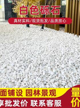 白色白色鹅卵鹅卵石洗砾石园林盆栽公园景地区铺石头鱼缸园景林造