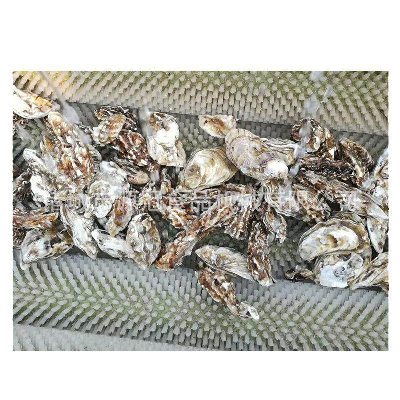 厂家供应毛辊清洗机 马铃薯清洗去皮设备 猪蹄牡蛎清洗机 去杂机,淘宝优惠券,粉丝福利购,淘宝优惠卷