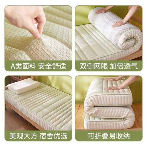 2胶025新款学生乳床DZF5520垫租软垫房宿单舍双人寝室加厚床褥垫 - 图3