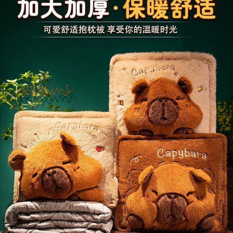 水豚抱枕被子用加厚办室靠枕折叠午睡公子枕头HZZ毯二合一汽两车 - 图1