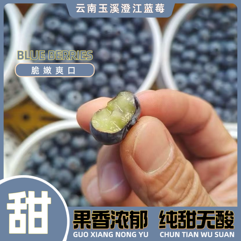 云南澄江抚仙湖蓝莓25号花香脆甜爆汁果王基地直发顺丰空运到家