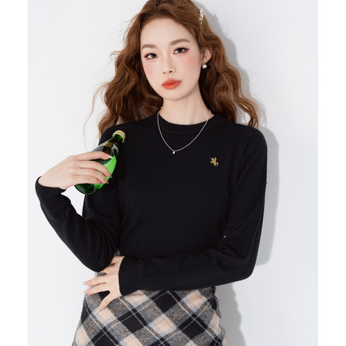 2025秋冬新款圆领情侣长袖毛衣打底衫P20 - 图2