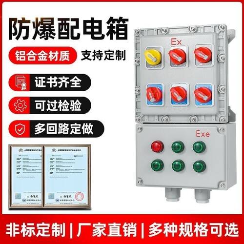 二路控制防爆磁力启动器配电箱防水三相水泵风机开关380V防爆电机 - 图2