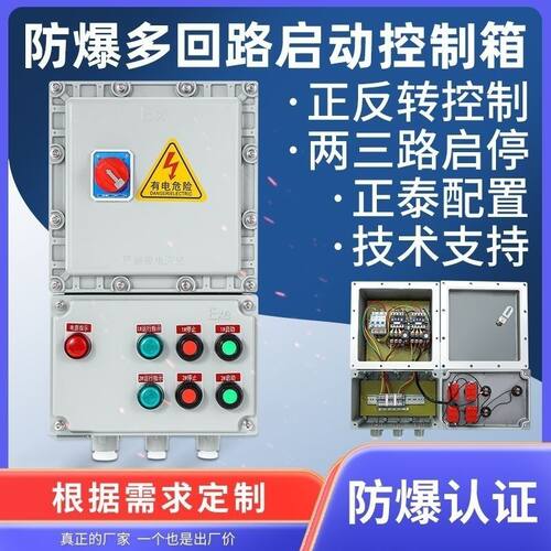 二路控制防爆磁力启动器配电箱防水三相水泵风机开关380V防爆电机 - 图1
