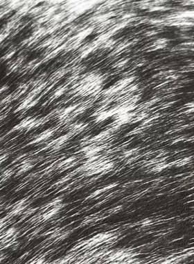 现房代简约样板质皮托NLG盘纹理黑白色几何卡利斯革把木手托盘装