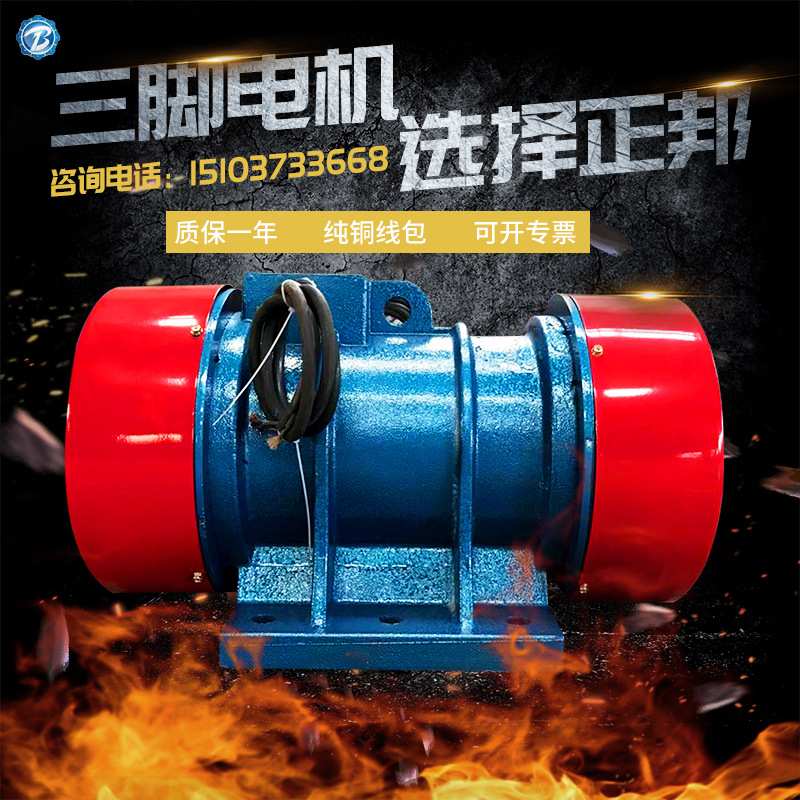 XZB-8-6级0.55KW新乡正邦三相异步振动源电机380V脱水筛沙机洗沙 - 图2