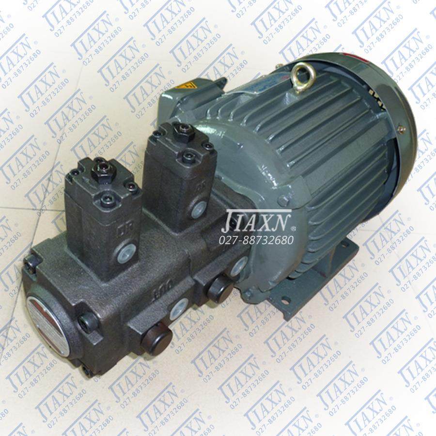 注塑机用双联叶片泵低压型VPVCC-F4040-A3A3-02 液压系统油泵,淘宝优惠券,粉丝福利购,淘宝优惠卷