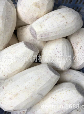 农副产品土豆红薯芋头去皮清洗深加工设备槟榔芋头条/块油炸机