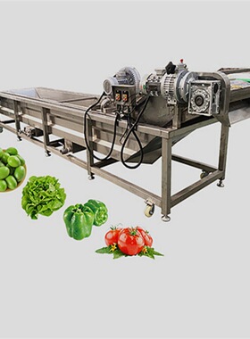 果蔬气泡清洗机净菜加工设备成套流水线荠菜去泥沙气泡清洗机