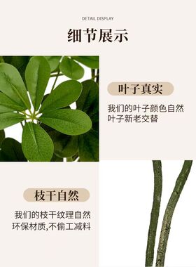 仿真绿植鸭脚木高端轻奢室内摆件大型落地盆栽假植物沙发旁装饰花
