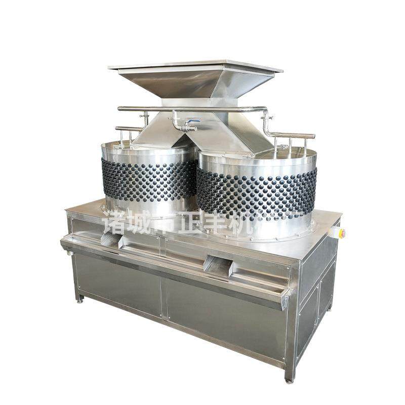 屠宰场槽头肉清洗机全自动猪牛羊头蹄清洗设备新款双圆筒洗肚机,淘宝优惠券,粉丝福利购,淘宝优惠卷