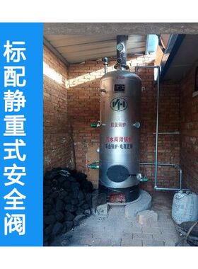 乐山燃煤燃柴蒸汽锅炉汽水两用炉商用小型食用菌酿酒做豆腐蒸馒头