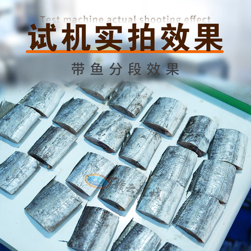 赣云牌全自动带鱼切段机多功能秋刀鱼海带牛肉干分段机输送式切块 - 图2