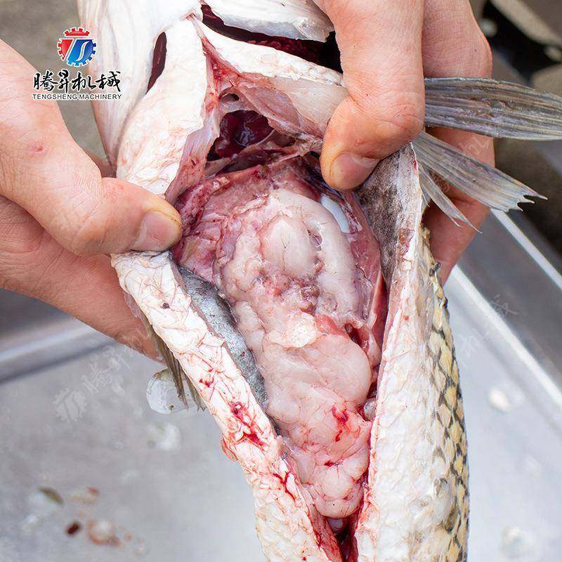 鲜活鱼剖杀设备家用商用杀鱼机全自动鱼类剖杀开肚设备,淘宝优惠券,粉丝福利购,淘宝优惠卷