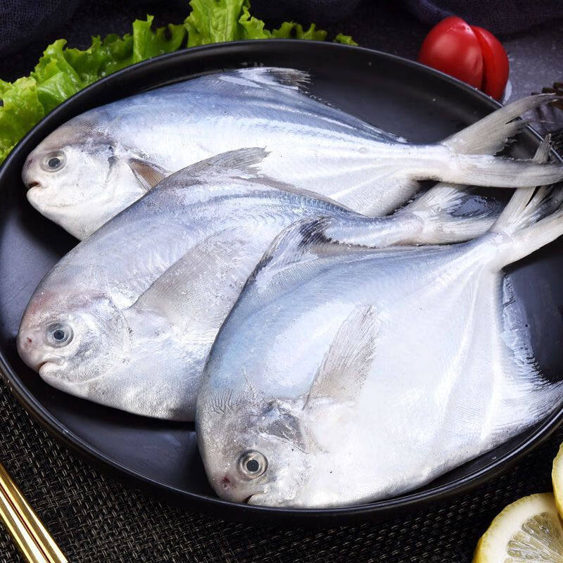 【象山原产地特产】海鲜鲳鱼流网鲜新鲜活冻鲳鱼平鱼鲳鳊鱼白鲳鱼,淘宝优惠券,粉丝福利购,淘宝优惠卷