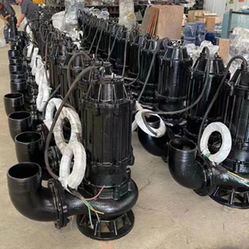 厂家预制WQ潜污泵大流量无堵塞污水排污泵工业地下室清污排污泵 - 图1