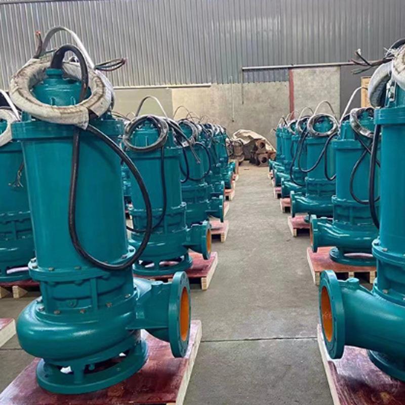 厂家预制WQ潜污泵大流量无堵塞污水排污泵工业地下室清污排污泵 - 图0