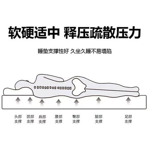 A类凉豆豆四季床垫榻榻米地垫午睡垫炕上专用垫卧室打地铺睡觉垫 - 图0