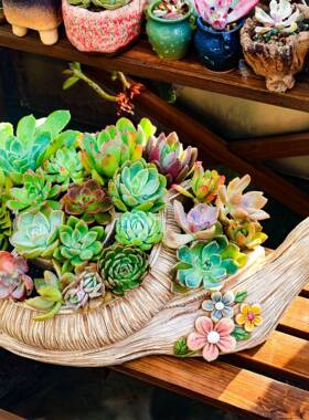 跨户外花园蜗牛多肉花盆桌面创脂意YT2024WN艺多肉境树田花园盆栽