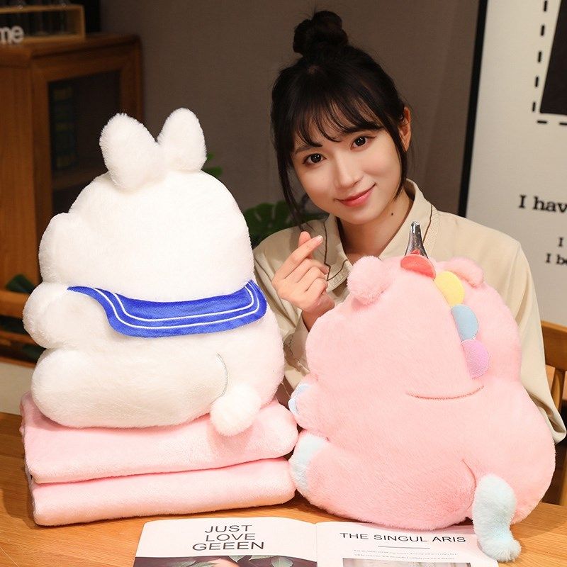 抱枕毯子二合一午休毯办公室女生睡觉午睡小枕头车用被子盖毯两用,淘宝优惠券,粉丝福利购,淘宝优惠卷