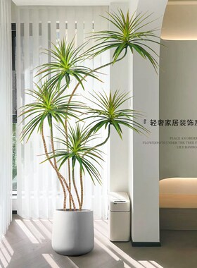 客厅电视柜旁轻奢绿植室内大型落地摆件盆栽装饰高档家居饰品好物