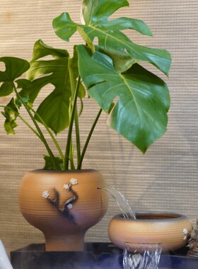 古法养鱼瀑布罐流水造景过滤增氧种F绿植物微景观生态缸流水摆件