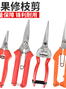 采果剪刀剪葡萄枝专用修枝剪疏果剪稀果剪摘花椒神器水果摘果剪子